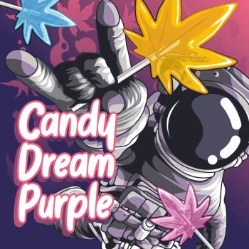 Preview: SIN TETRA | Candy Dream Purple